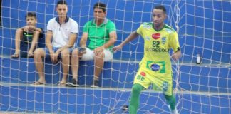 Cedia Dracena Tempersul