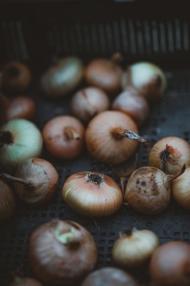 Reprodução Unsplash Reprodução Unsplash