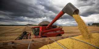 Cedida Wenderson Araújo/Trilux