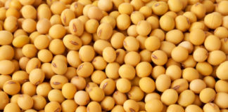 Reprodução Unsplash