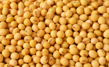 Reprodução Unsplash