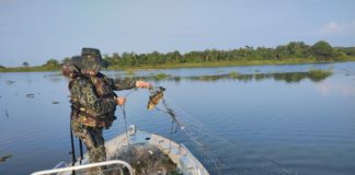Cedida Polícia Ambiental