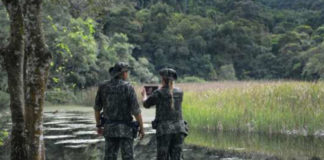 Cedida Polícia Ambiental