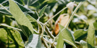 Reprodução Unsplash