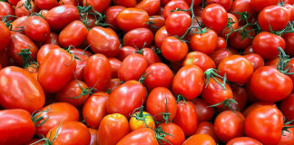 Reprodução Unsplash