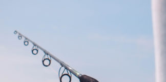 Reprodução Unsplash