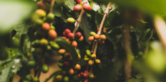 Reprodução Unsplash