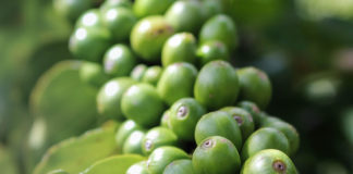 Reprodução Unsplash