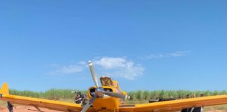 Cedida 1ª DIG/Deic 8