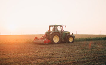 Reprodução Unsplash