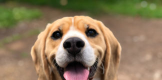 Reprodução Unsplash