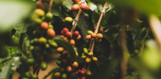 Reprodução Unsplash