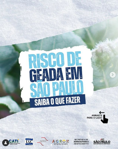 Reprodução Instagram Reprodução Instagram