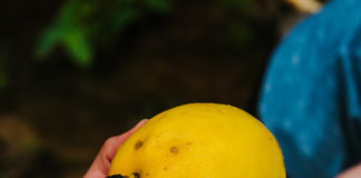 Reprodução Unsplash