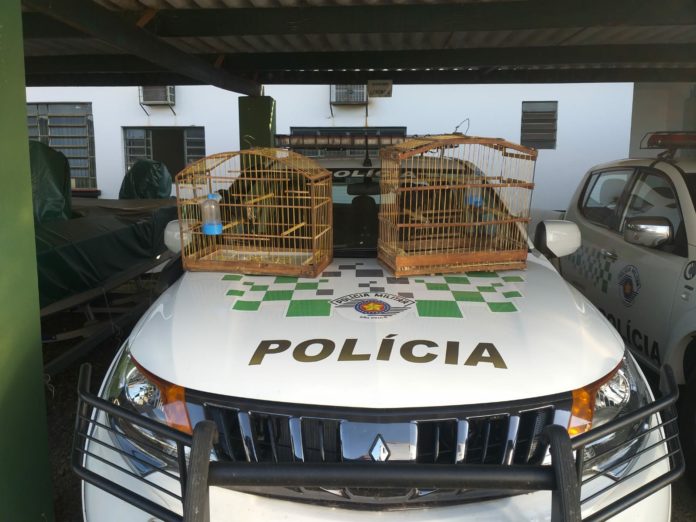 Cedida Polícia Ambiental