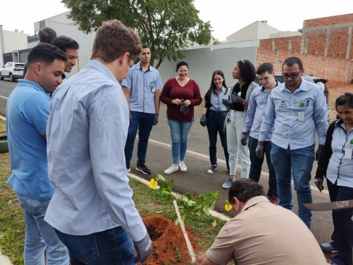 Cedida Engra Cedida Engra