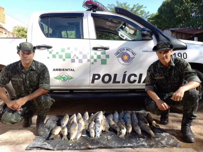 Cedida Polícia Ambiental Cedida Polícia Ambiental