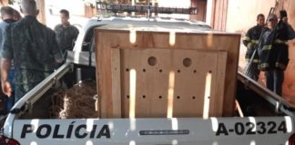 Cedida Polícia Ambiental