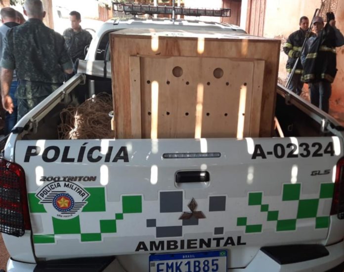Cedida Polícia Ambiental