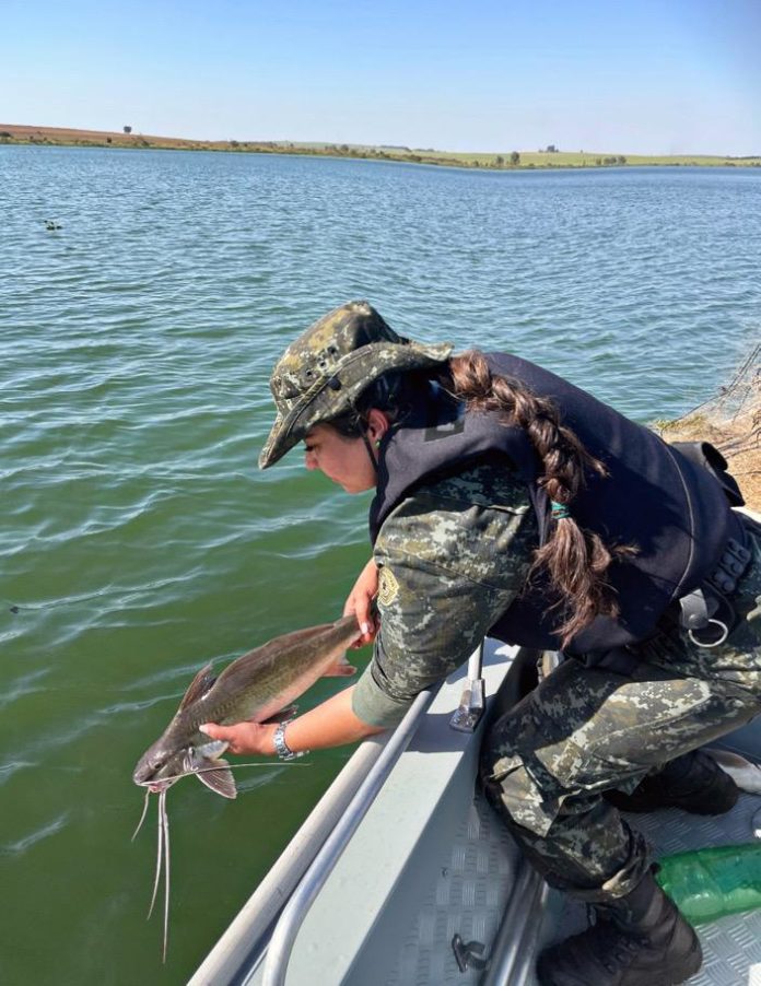 Cedida Polícia Ambiental