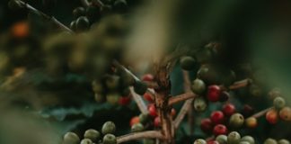 Reprodução Unsplash