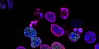 Reprodução Unsplash