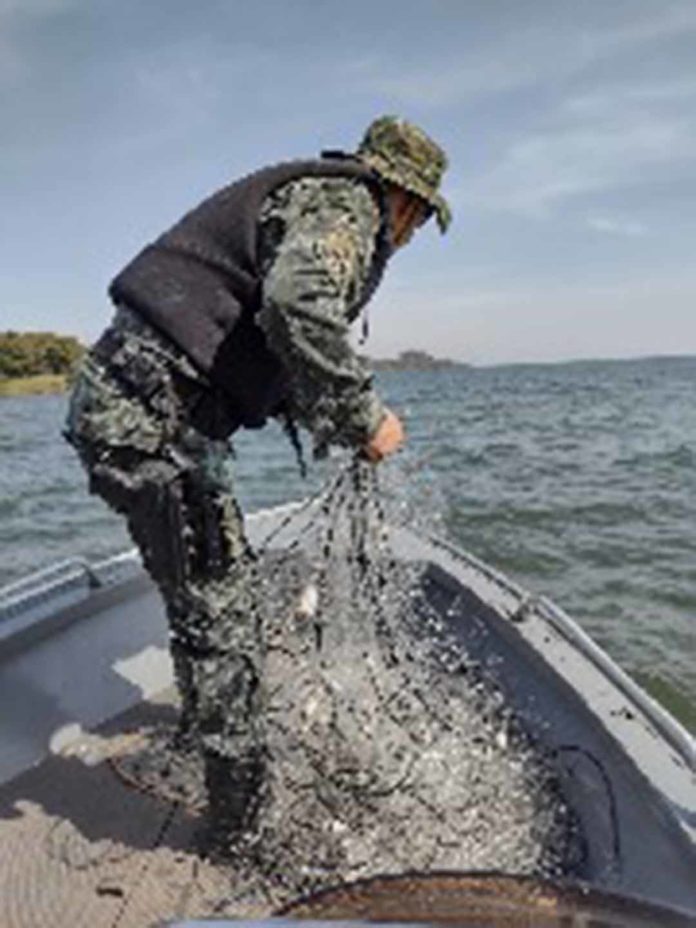 Cedida Polícia Ambiental Cedida Polícia Ambiental