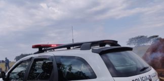 Cedida Polícia Ambiental