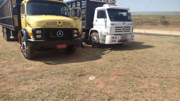 Cedida Polícia Civil