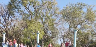 Cedida Polícia Ambiental