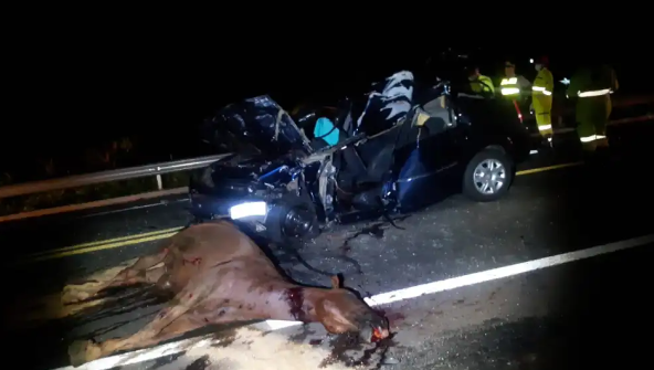 Acidente na Curva do Cavalo Morto envolve seis veículos e faz vitima fatal