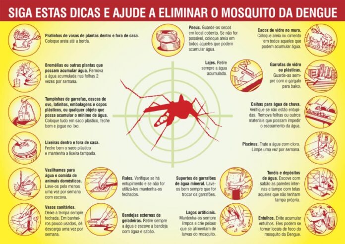 dengue e mais