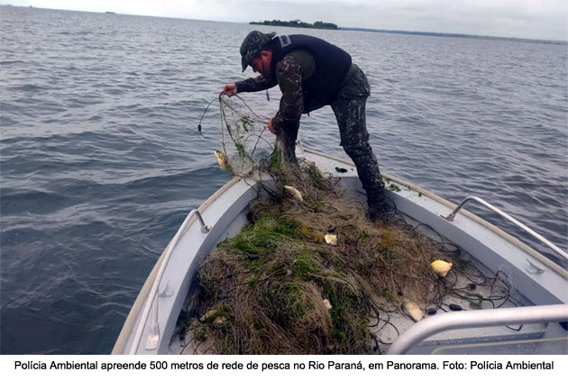 pesca