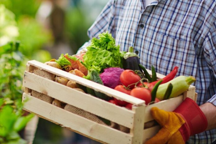 artigo terça agro