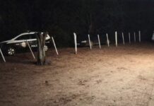 Trabalhador rural é morto por família a golpes de facão e pauladas em área rural de Rinópolis