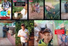 Produtor rural soma 1,7 milhão de seguidores ao compartilhar dicas da roça no interior de SP: ‘Repassar conhecimento’