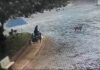 Homem suspeito de matar cães de rua envenenados é multado em R$ 21 mil no interior de SP