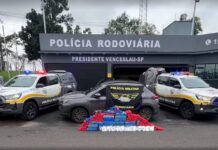 Operação conjunta apreende quase 300 kg de drogas em carro abordado na rodovia em Presidente Venceslau