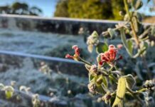 Inverno no interior de SP terá temperaturas acima da média e chuvas dentro do esperado, aponta Inmet