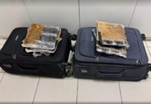 Cinco bolivianas são flagradas com quase 12 kg de drogas durante fiscalizações em rodovia do interior de SP