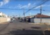 STF determina que municípios acolham animais abandonados e maltratados com base em ação movida em Catanduva