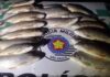 Dupla foge de fiscalização e abandona saco com quase 20 kg de peixes em rio