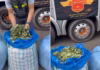 Polícia Rodoviária apreende 136 kg de folhas de coca durante abordagem a ônibus no interior de SP
