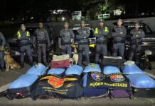 Mais de 340 kg de folhas de coca e maconha são apreendidos em ônibus