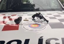 Mulher atira contra casa da mãe após discussão por documentos, mata gato e é presa em Pacaembu