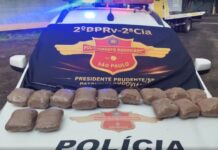 Jovem é preso com droga escondida em mala durante viagem de ônibus em Presidente Prudente